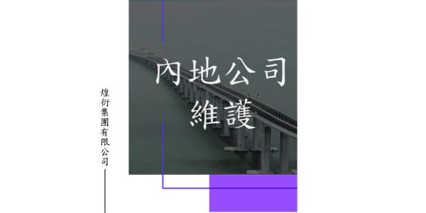 內地公司維護（無營運）